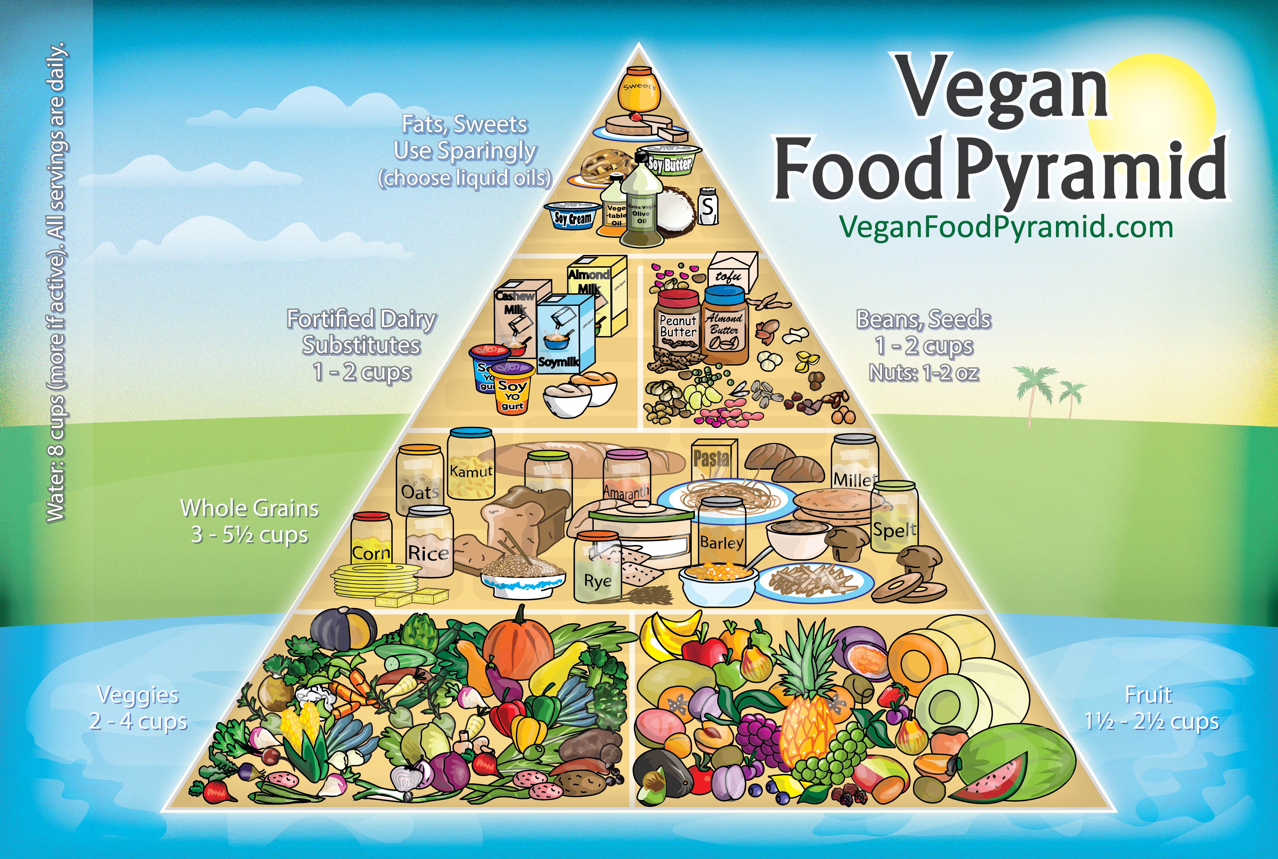 Vegan Food Pyramid,Seafood Gumbo Recipes